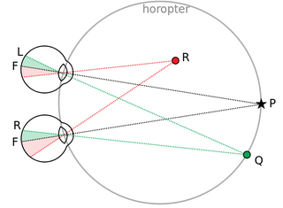 Imagen: principio de la visión binocular